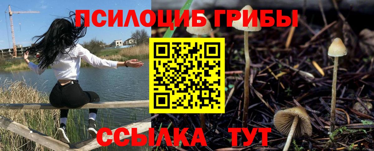 Прохладный  Галлюциногенные грибы ЛСД  Вход с VPN 